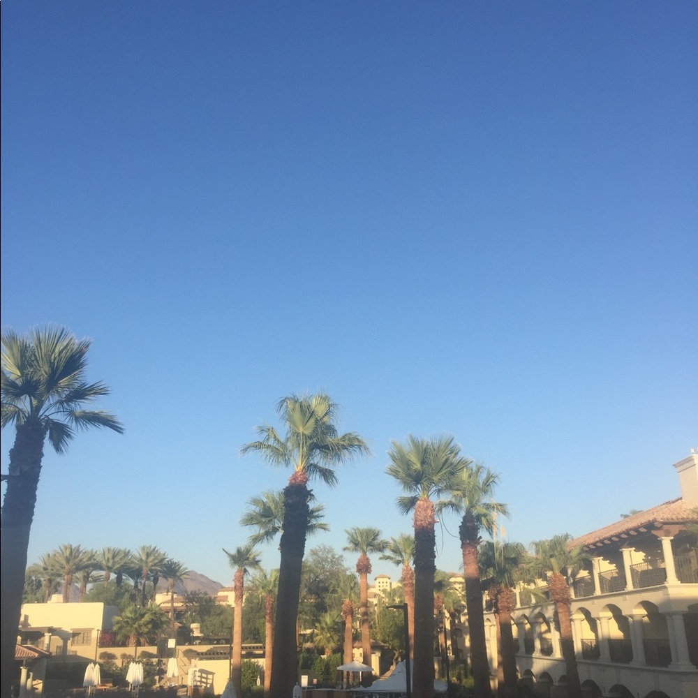 Meet your Posher, Kiki